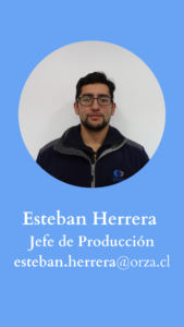 Esteban Herrera - Web Orza